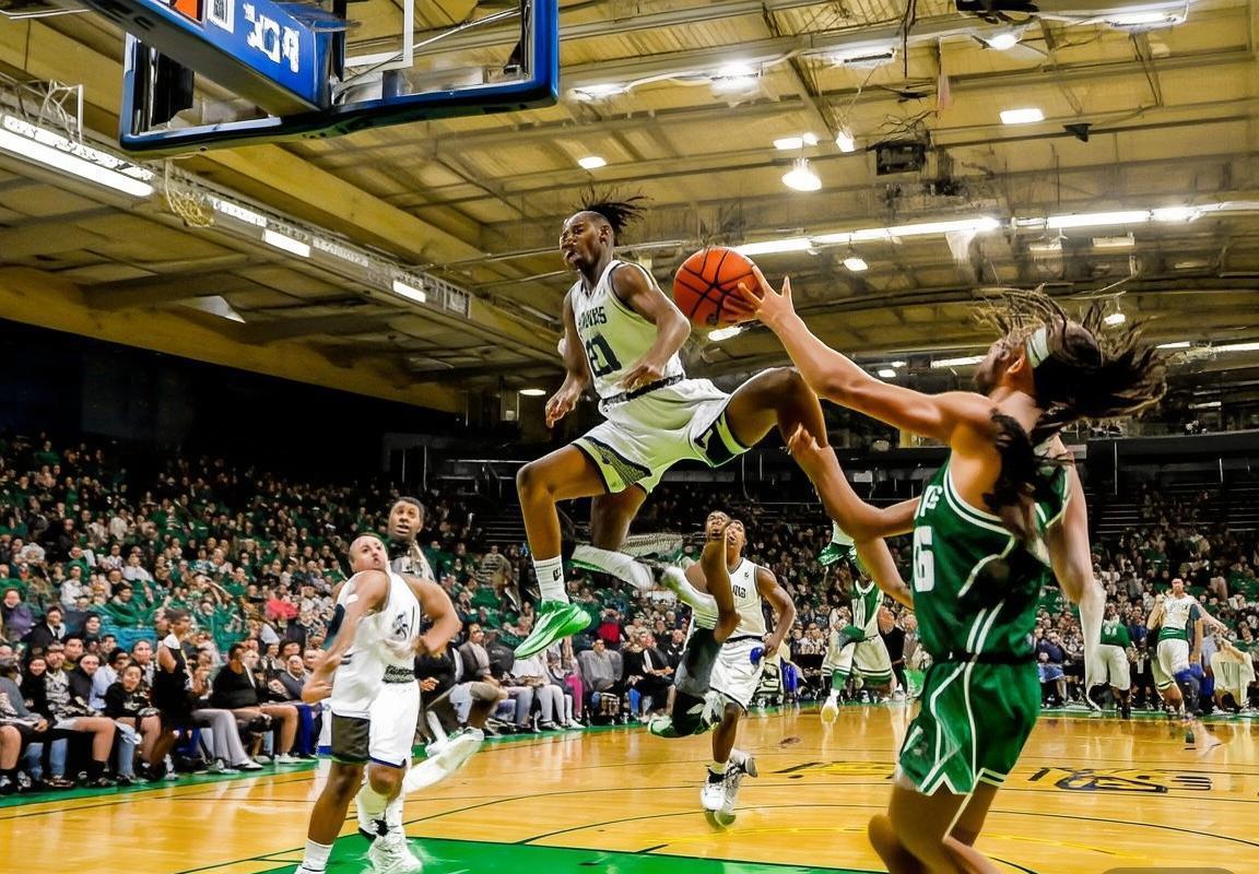 黄蜂VS凯尔特人：巅峰对决深度解析(图4)